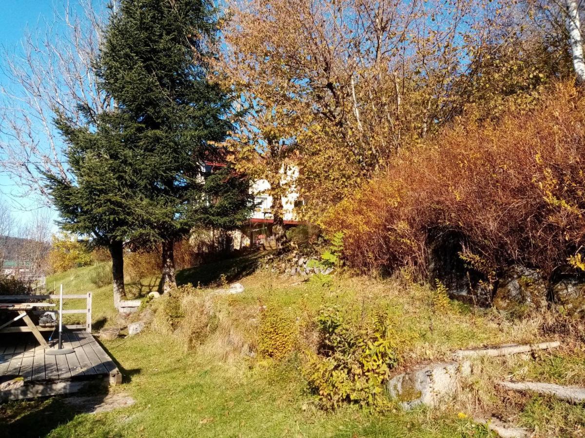 Au Grenier Du Lac Gérardmer Exterior foto
